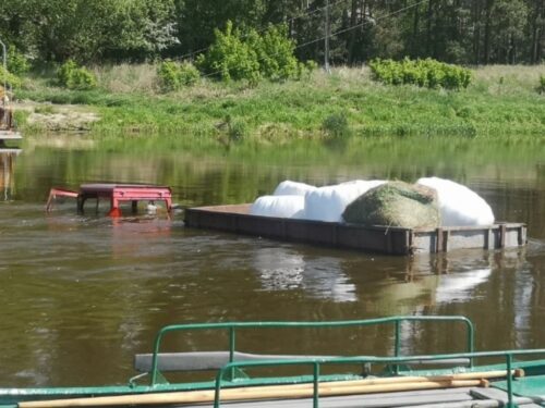 ciągnik w rzece, warta, przeprawa promowa Wartosław-Krasnobrzeg, powiat szamotulski