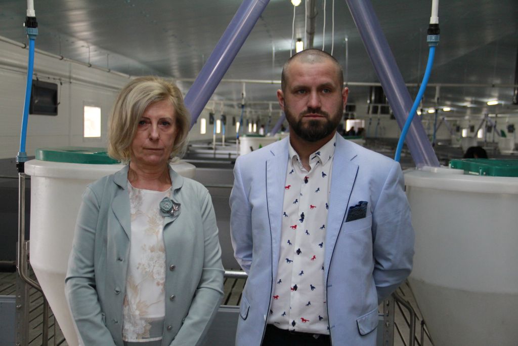 Gobarto 500, tuczarnia, Cedrob, trzoda chlewna