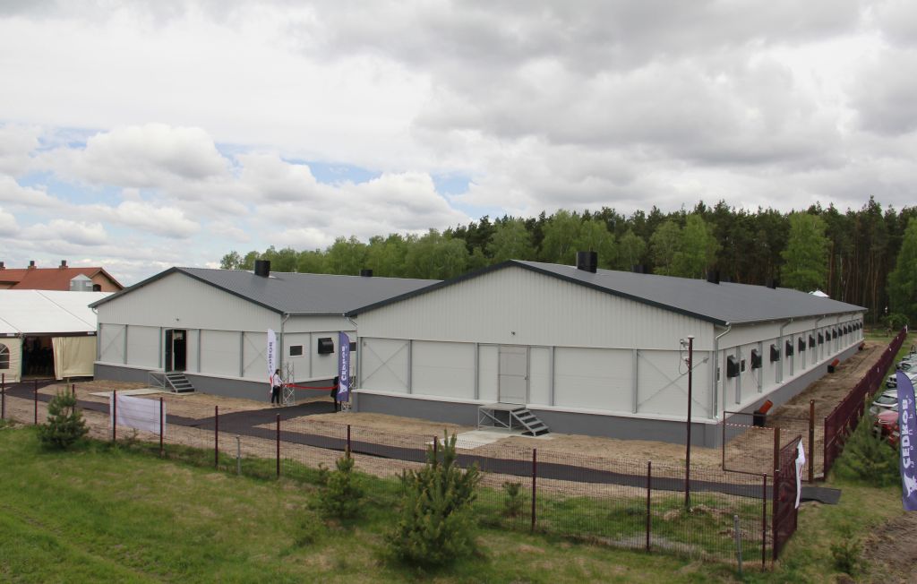 Gobarto 500, tuczarnia, Cedrob, trzoda chlewna