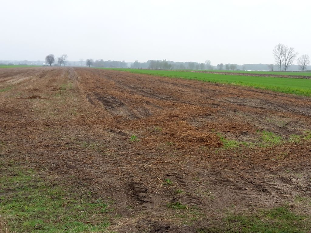 produkty pofermentacyjne, Krzysztof Smaczyński, nawożenie, rozwój biogazowni, gnojowica