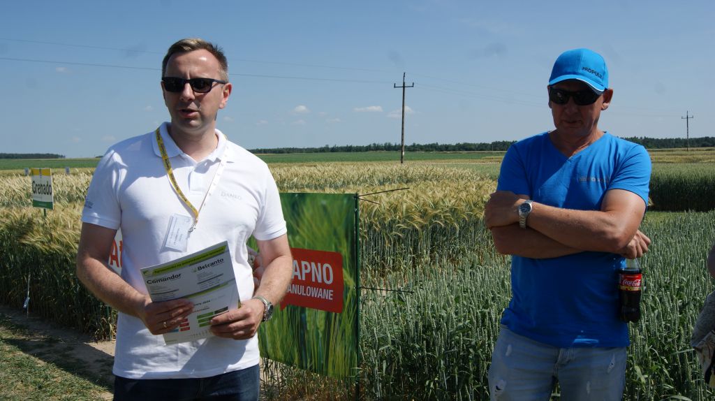 Danko, Dzień Pola w Sobiejuchach, odmiany pszenżyta ozimego, Dariusz Majchrzycki, ochrona firmy Bayer, odmiany zbóż
