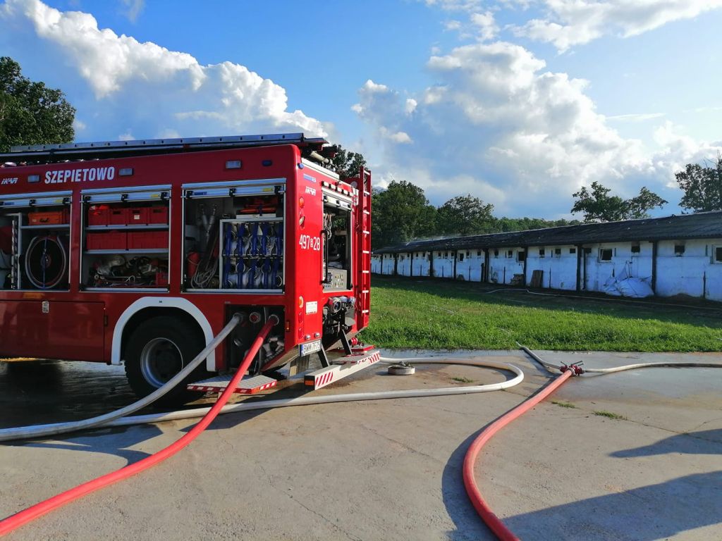 pożar chlewni, tuczniki zgineły w pożarze, Nowe Szepietowo Podleśne, powiat wysokomazowiecki, podlasie