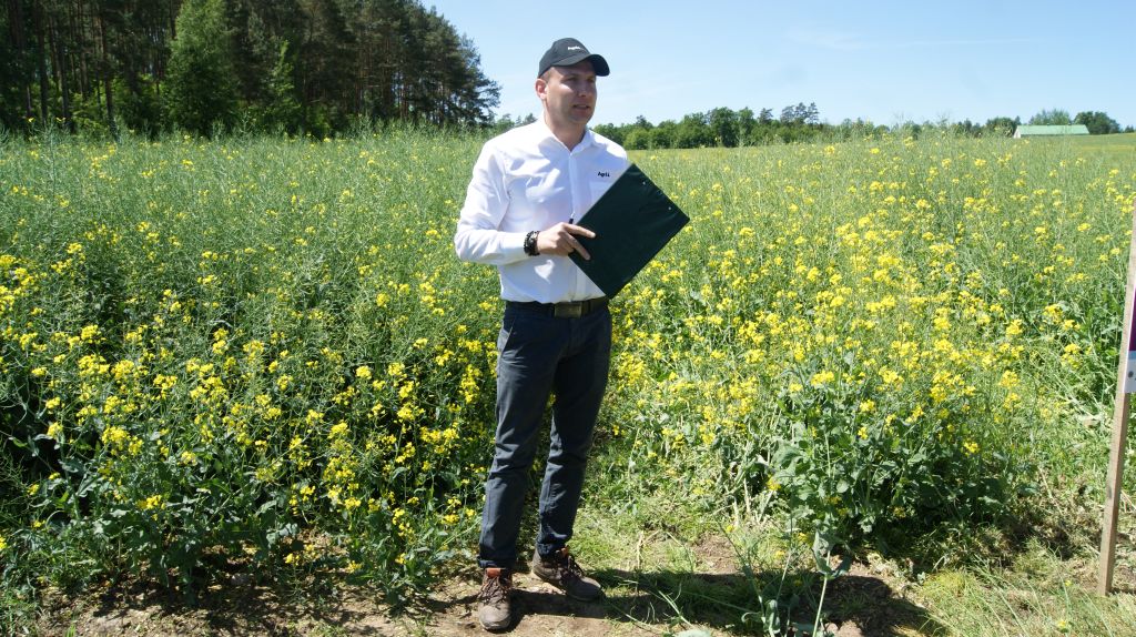 technologia uprawy rzepaku ozimego, odmiana Barocco, nawożenie rzepaku ozimego, dr Marek Reich, ochrona rzepaku ozimego,