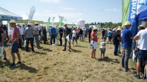 ProCam, Dzień Pola firmy ProCam w Stanowie, odmiany zbóż i rzepaku, preparaty biologiczne, technologia uprawy roślin,