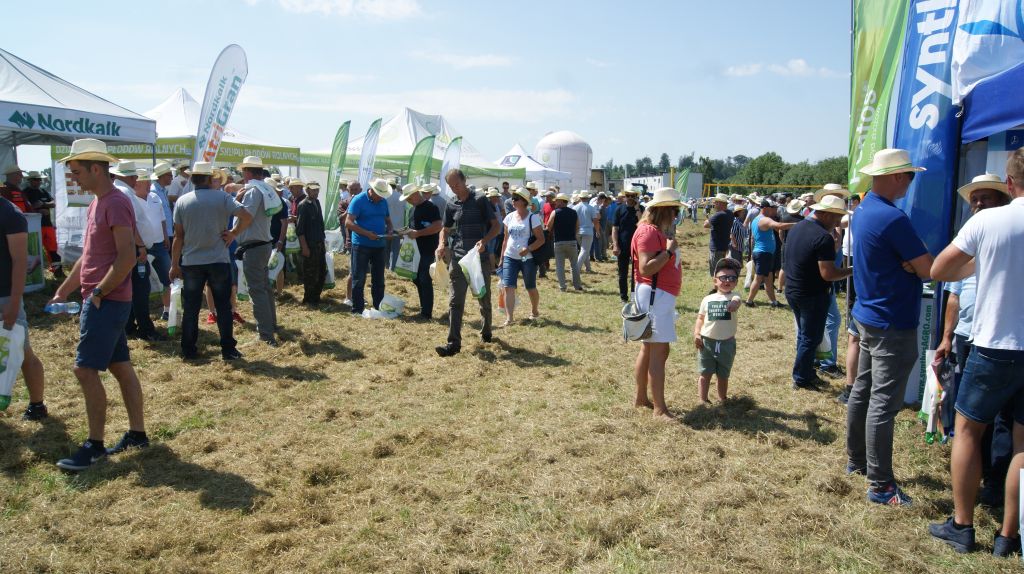 ProCam, Dzień Pola firmy ProCam w Stanowie, odmiany zbóż i rzepaku, preparaty biologiczne, technologia uprawy roślin,