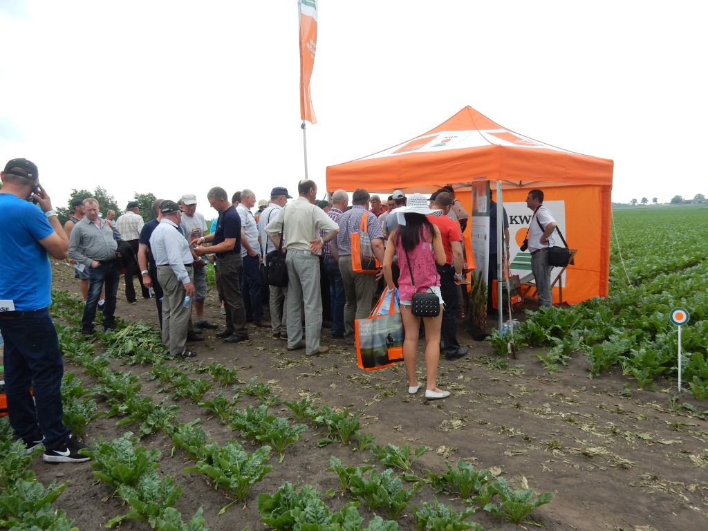 Demo Farma KWS, odmiany buraka cukrowego, Conviso Smart, odmiany rzepaku ozimego, odmiany zbóż, hodowla roślin, KWS