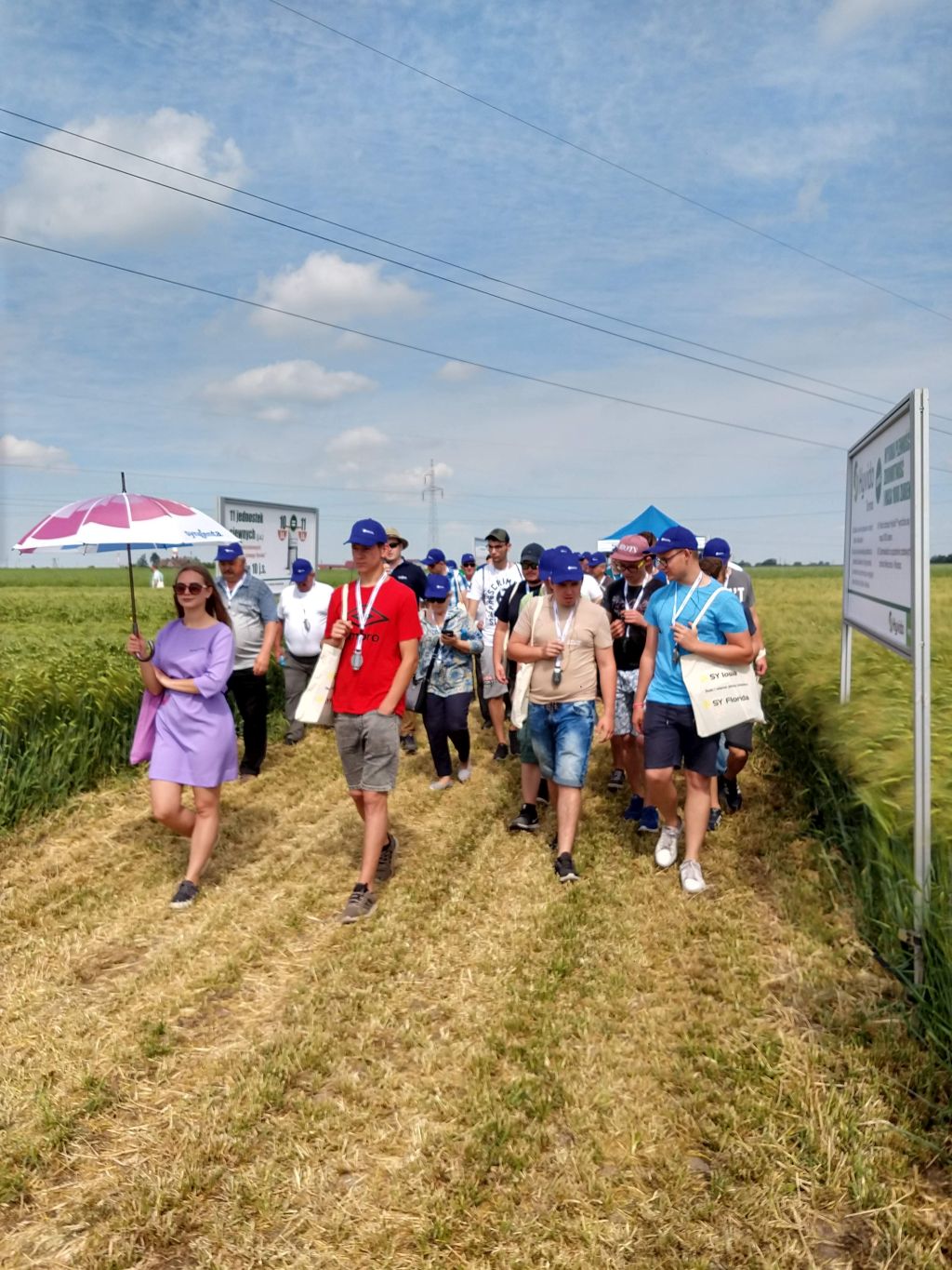 Syngenta, jęczmień mieszańcowy Hyvido, Moddus Flexi, Pola Klasy S, Amistar Gold, nowe odmiany zbóż i rzepaku, Infopole,