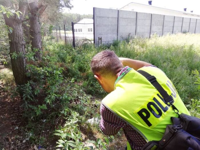 Niedźwiedź, gmina Kobylanka, ferma drobiu, padłe kurczaki, Marcin Lewicki, fundacja viva