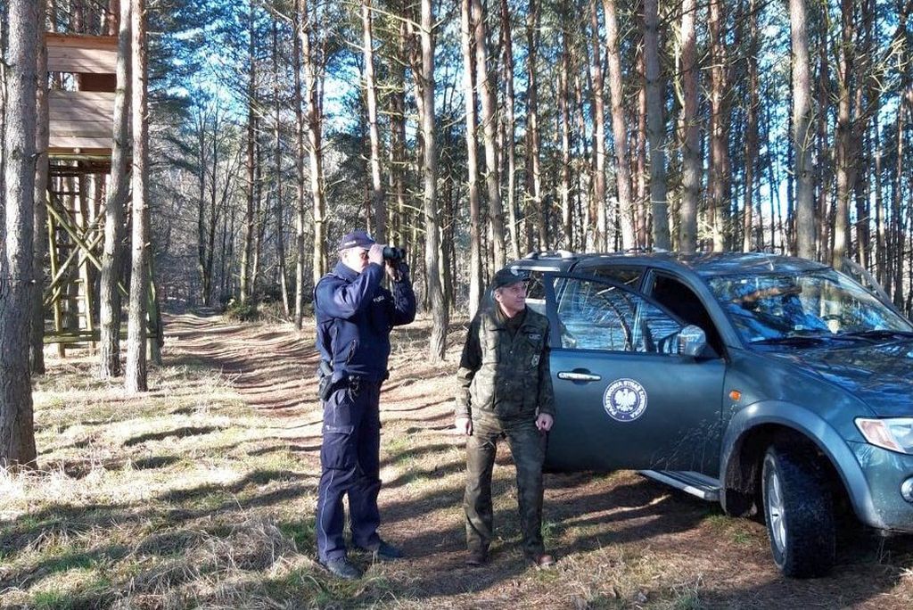 blokowanie polowań, organizowanie polowań, polski związek łowiecki, koła łowieckie,odstrzał dzików, walka z asf w polsce