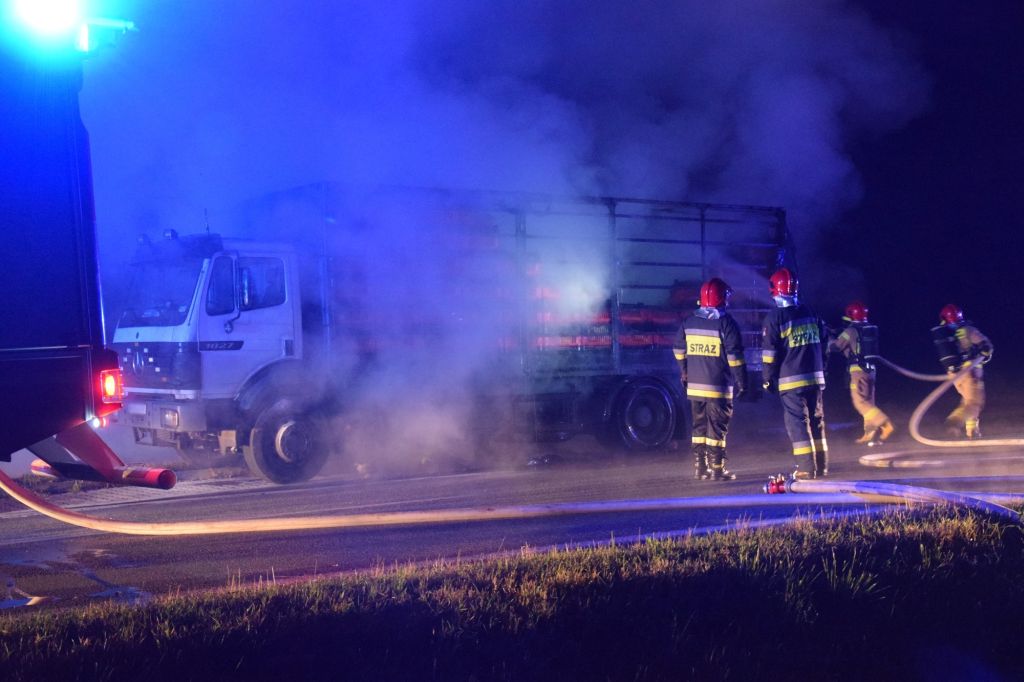 zezwoleń na przewozy drogowe w transporcie międzynarodowym, transport, eksport