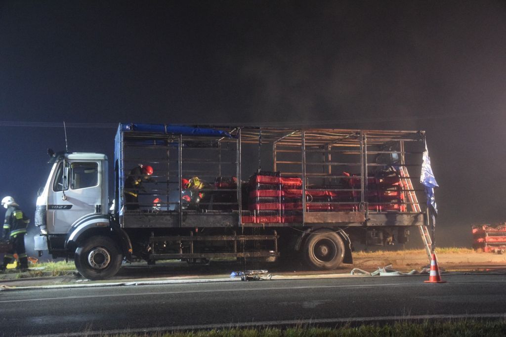 zezwoleń na przewozy drogowe w transporcie międzynarodowym, transport, eksport