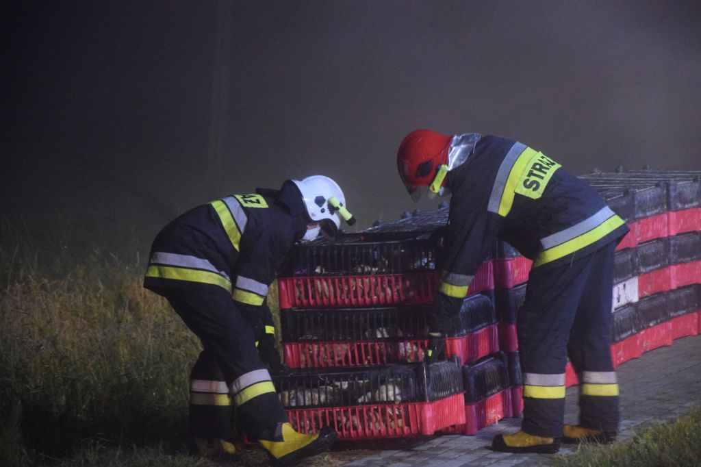 zezwoleń na przewozy drogowe w transporcie międzynarodowym, transport, eksport