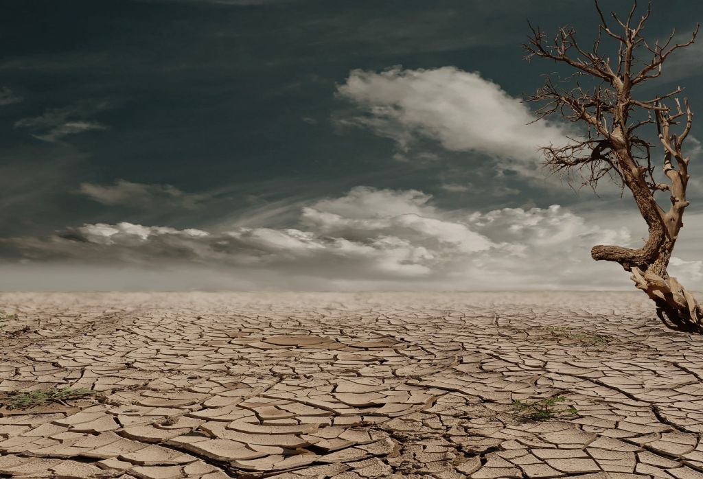 redukcja emisji gazów cieplarnianych, cele klimatyczne, neutralność węglowa