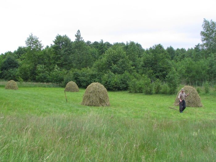 kleszcze, borelioza, choroby odkleszczowe, kleszczowe zapalenie mózgu, choroby zawodowe rolników