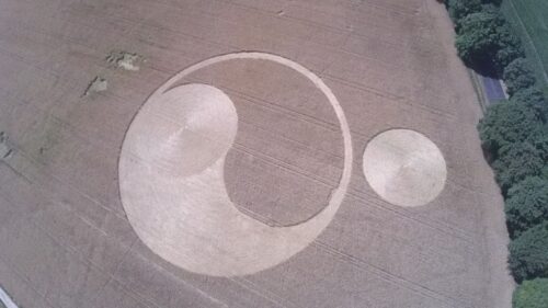 piktogram w zbożu, kręgi na polu, ufo, orchowo, słupca, Marek Szalaty