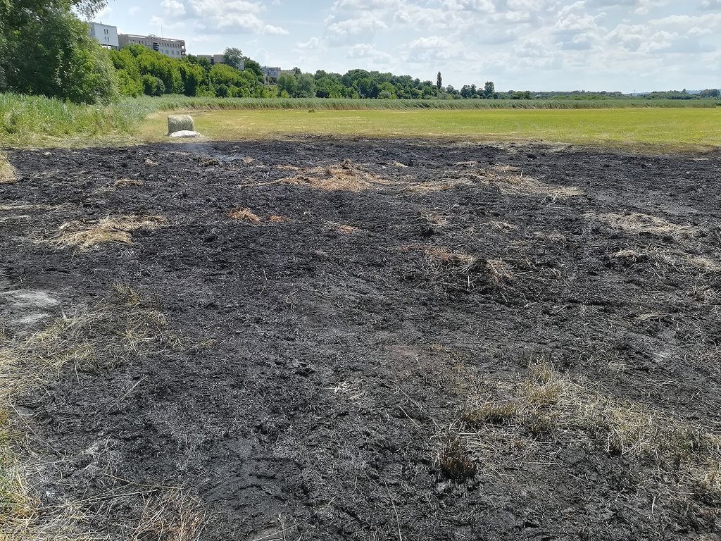 pożar bel siana, łąka, nowa huta, kmp w krakowie, podpalenie