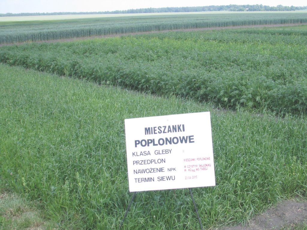wysiew poplonów, praktyka zazieleniania, krir, susza rolnicza, ministerstwo rolnictwa