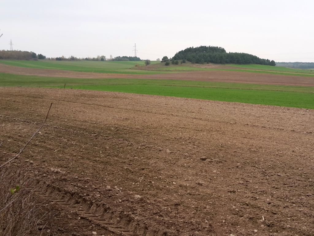 nawożenie, NIK, raport, gleba, uprawa, badanie gleby