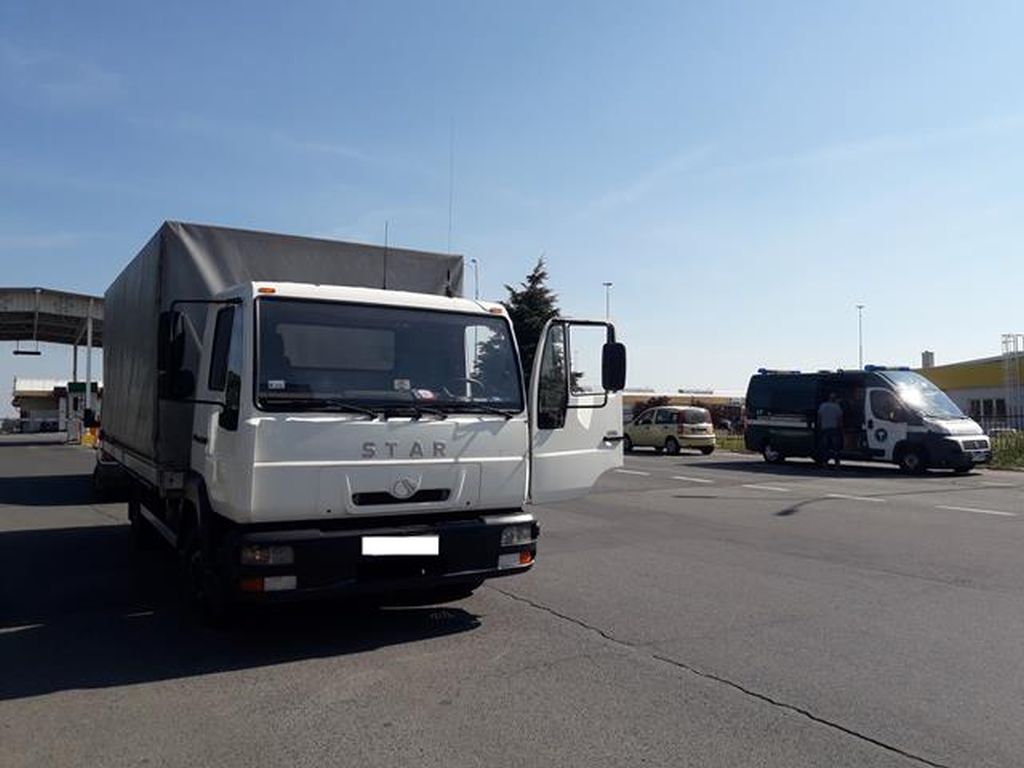 Transport ziemniaków, obrót sadzeniakami, sadzeniaki z paszportem, piorin, paszporty roślinne