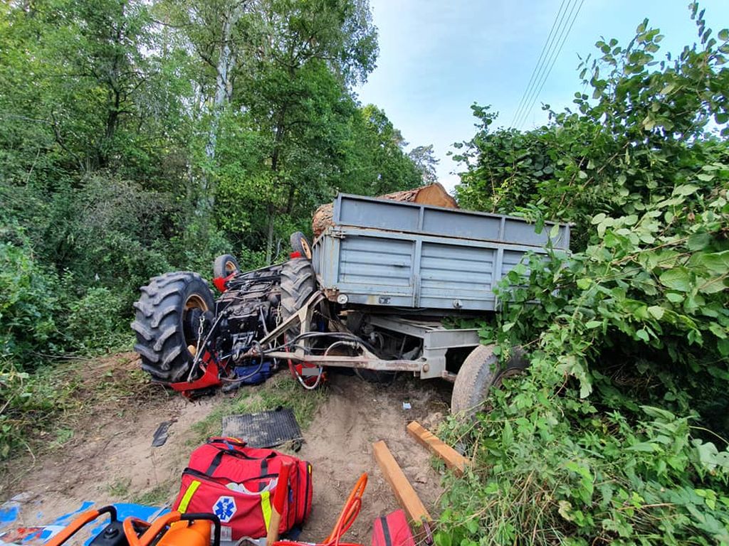 wypadki w lasach, wycinka drzew, transport drewna, dziewki, leśniczówka Piłka
