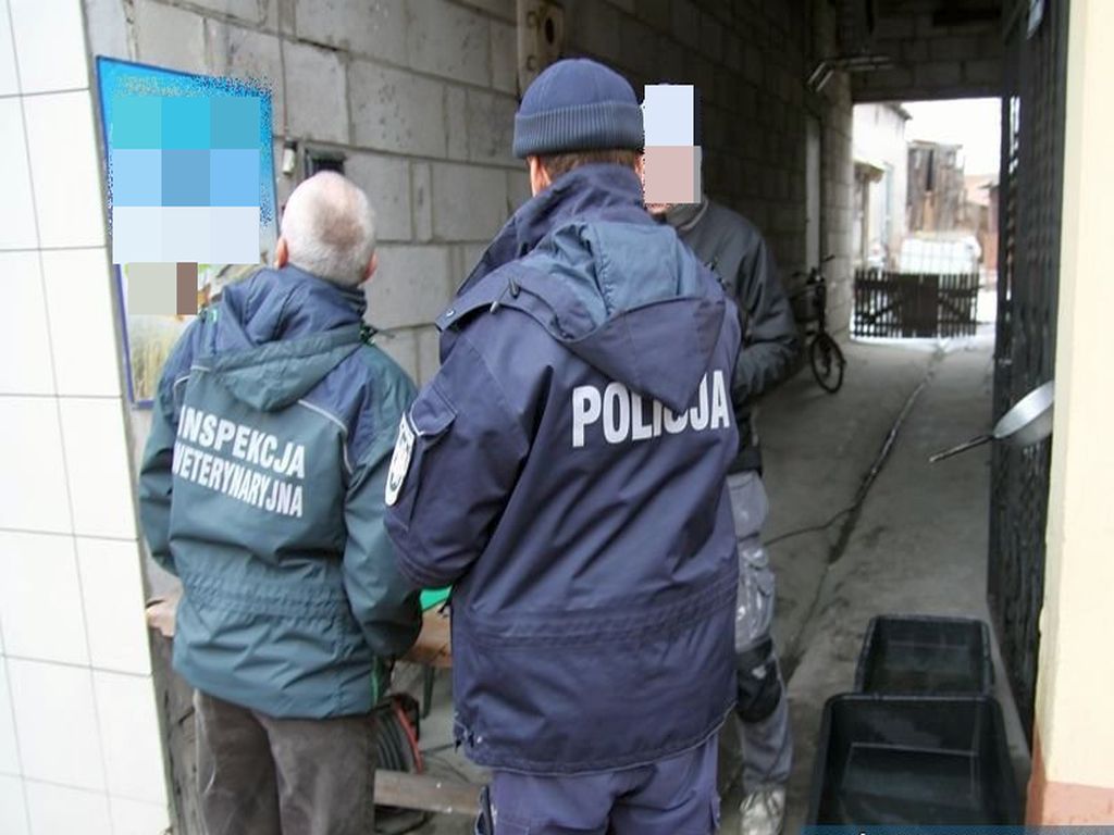 pijani traktoryści, gmina Wiżajny, powiat suwalski, kmp w suwałkach