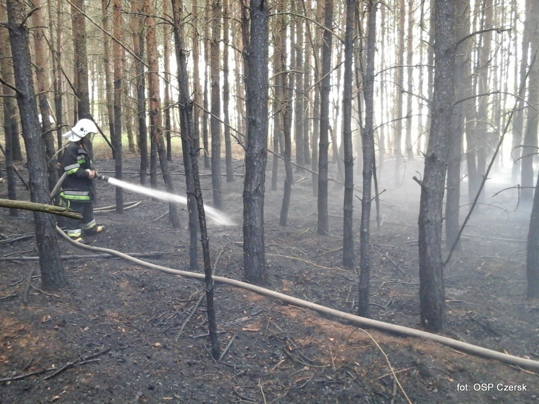 pożar, las, pożar lasu, mazowieckie, OSP, policja