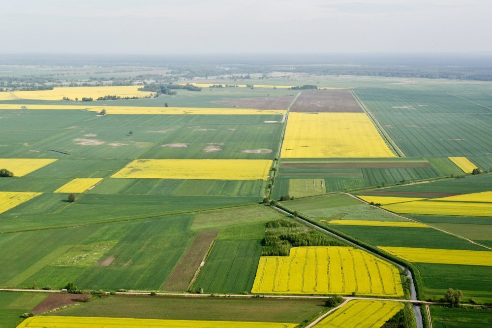 konkurs Lubuska Odnowa Wsi, rozwój obszarów wiejskich, Stanisław Tomczyszyn, osp