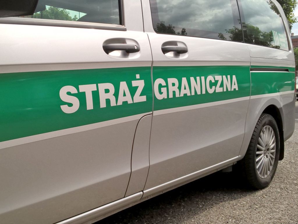 plantacja malin, zbiór malin, straż graniczna, gmina Fredropol, powiat przemyski