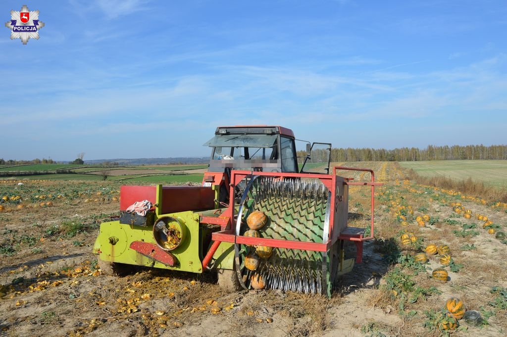 gmina sułów, powiat zamojski, zbiór dyni, wypadek na polu, prace polowe