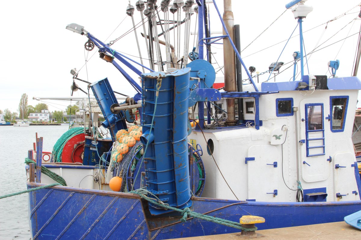 program operacyjny rybactwo i morze, pieniądze, rybacy