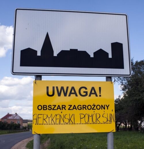 asf_pomor