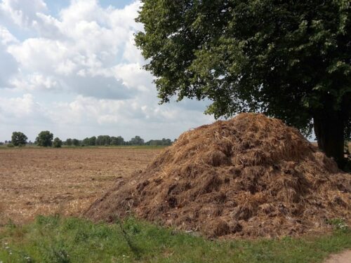 ochrona wód przed azotanami ze źródeł rolniczych, prawo wodne, ustawa o nawozach i nawożeniu