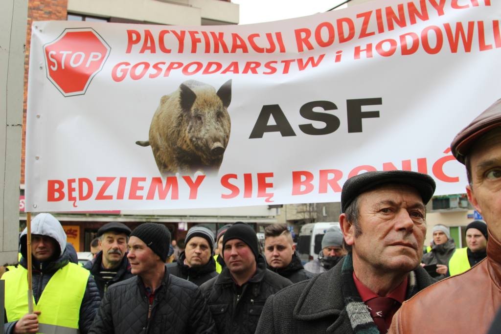 protest rolników, AGRunia, protest, ASF