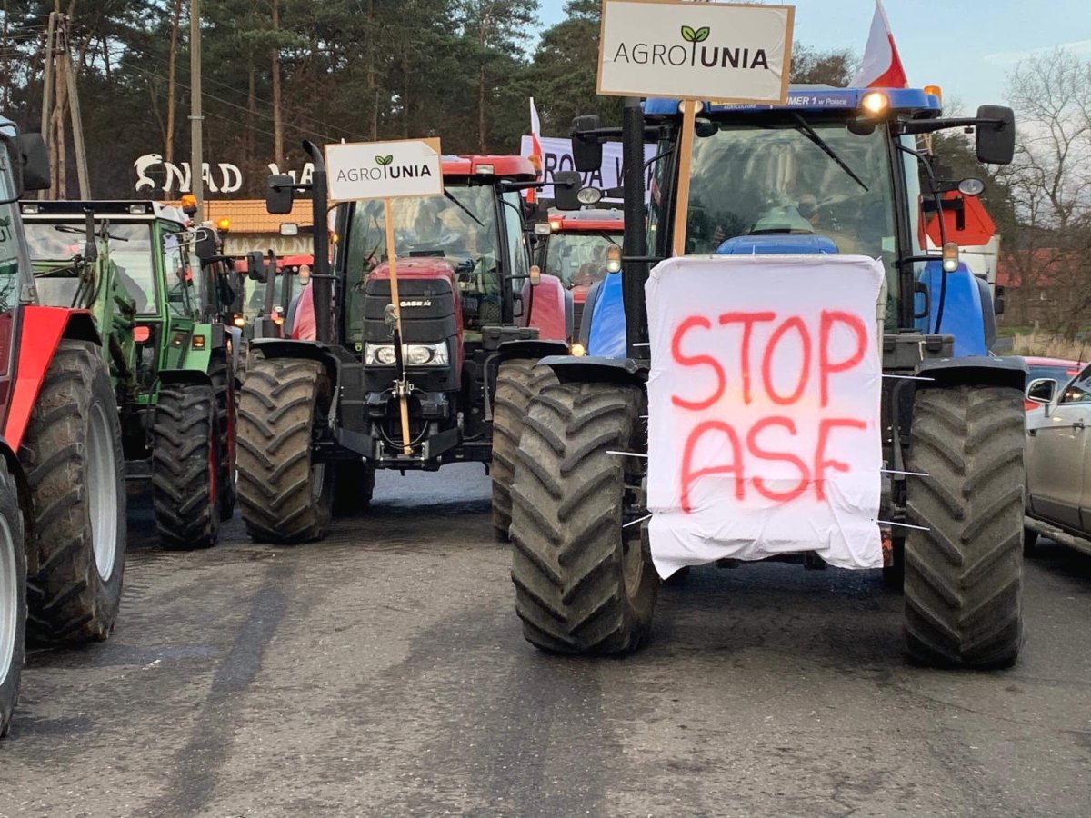 protest rolników, AGRunia, protest, ASF