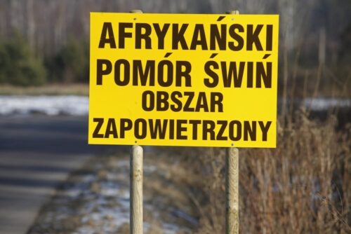 ASF, afrykański pomór świń, Dorota Niedziela, powołanie sejmowej komisji nadzwyczajnej ds. monitorowania walki z wirusem