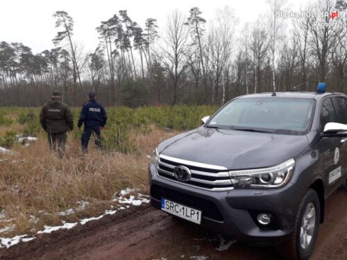 straż leśna, akcja choinka, RDLP w Krośnie, Wojciech Zajdel, Lasy Państwowe