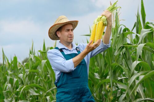 Grupa Ciech, Ciech Sarzyna, rozwój biznesu Agro w Rumunii, Proplan, środki ochrony roślin