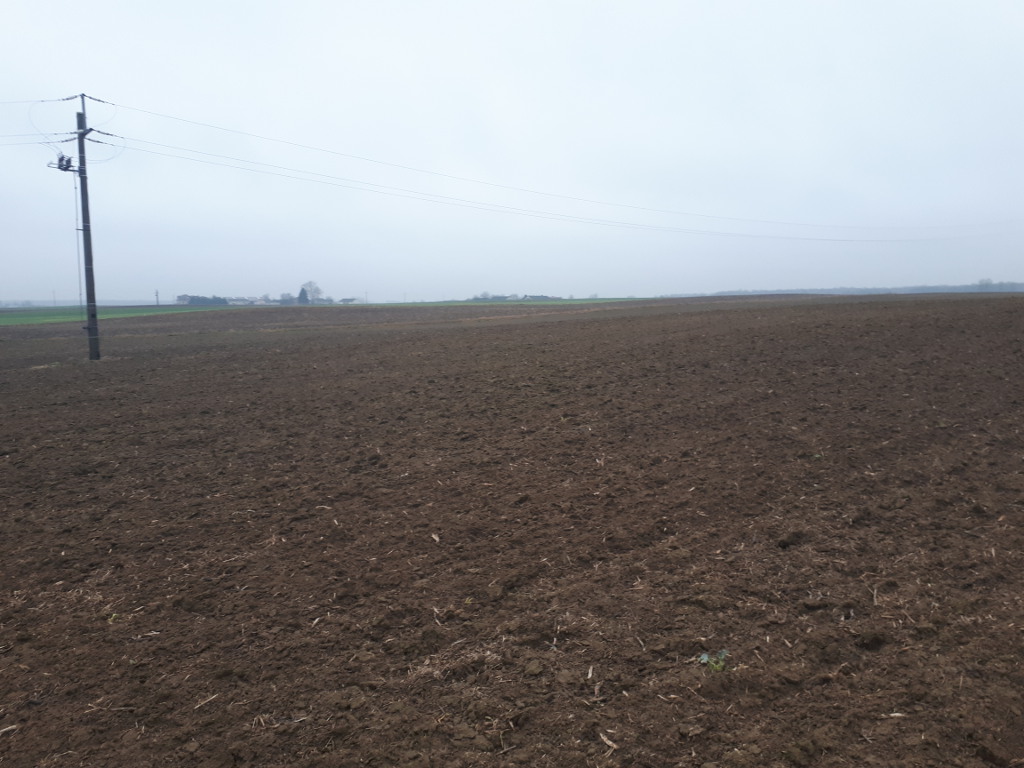 Sahryń, pole, słup
