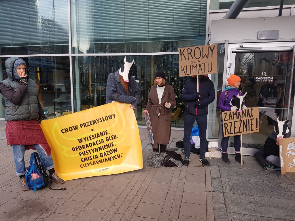 6. Forum Sektora Wołowin, obrońcy praw zwierząt, Animal Rebellion, bydło mięsne, hodowcy bydła, hodowcy bydła, wołowina