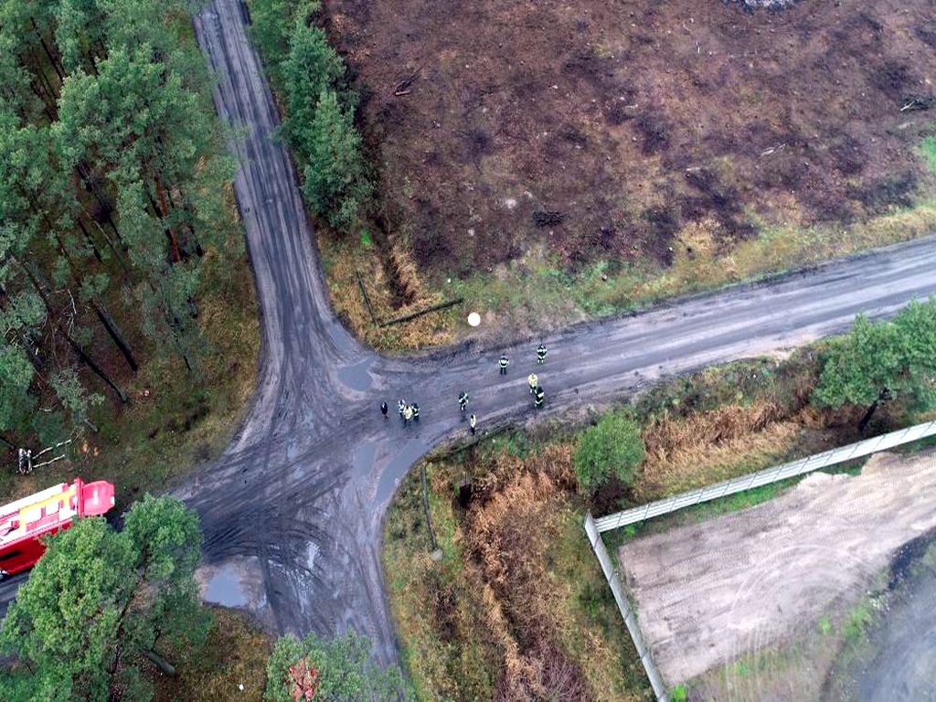 walka z asf w wielkopolsce, powiat wolsztyński, drony nad lasami, szukanie padłych dzików