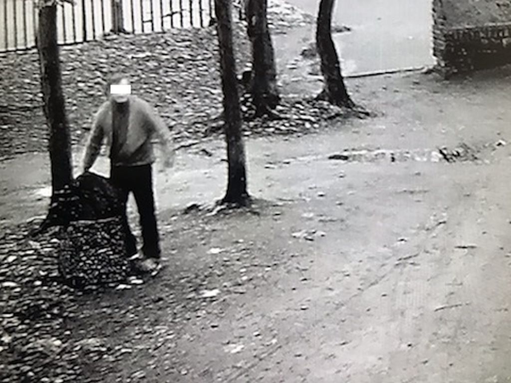 szczątki dzika na śmietniku, jarocin, walka z asf w polsce, urząd miejski w jarocinie