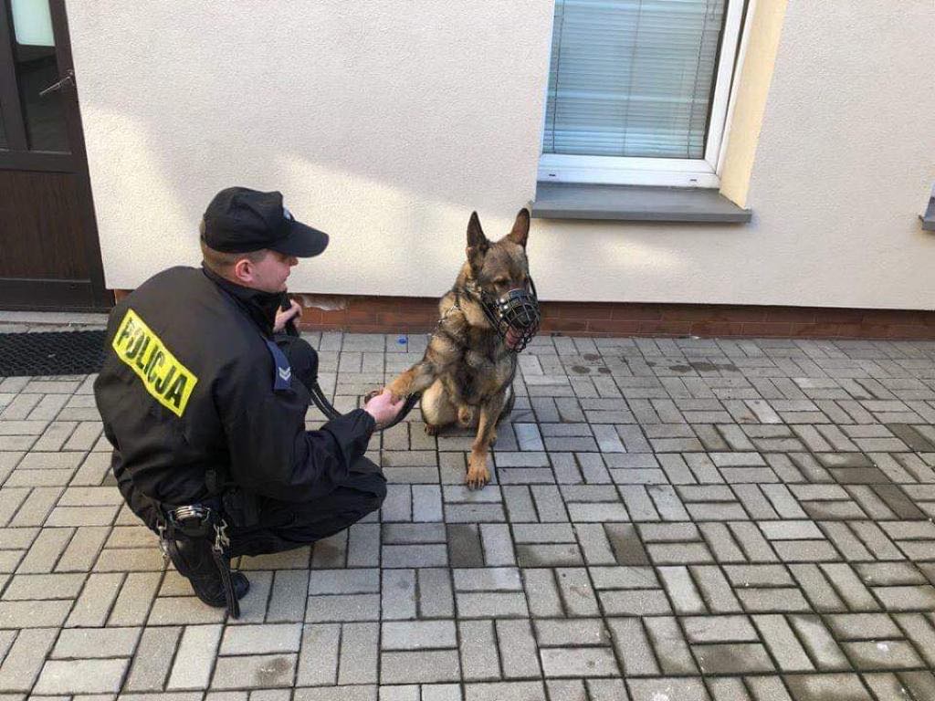 gmina Grzegorzew, kpp w kole, owczarek goran, Konrad Perkowicz