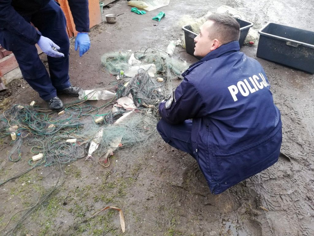 kłusownictwo, lesko, gmina Skalbmierz, Państwowa Straż Rybacka