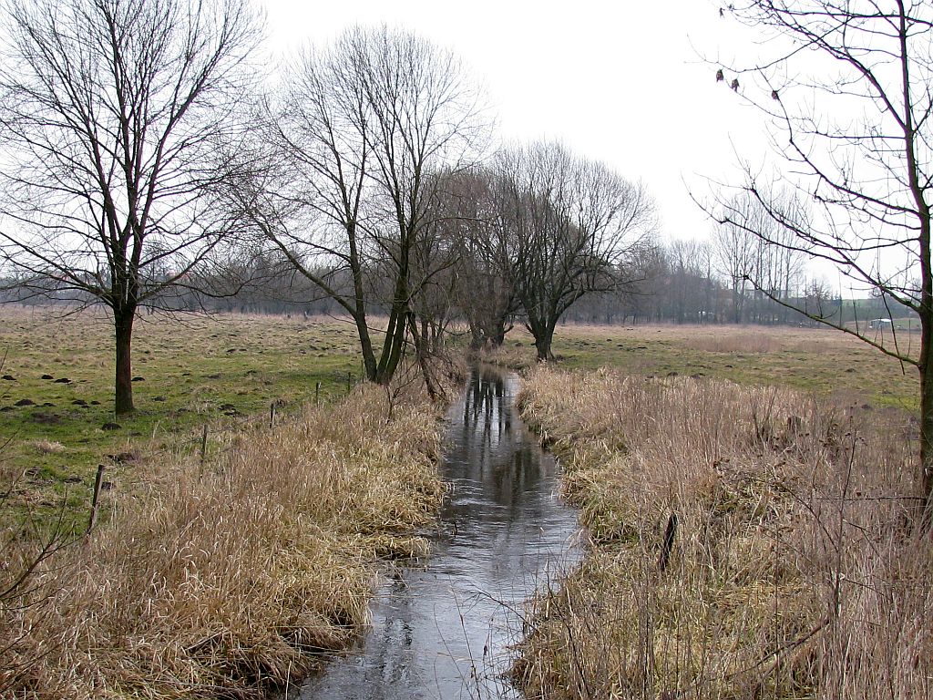 melioracja, województwo lubuskie, gorzów, zielona góra