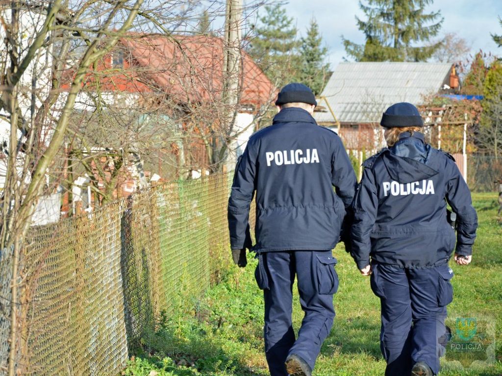 kradzież, policja, kradzież paszy z gospodarstwa