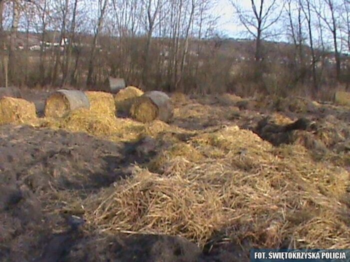 pożar gospodarstwa, świętokrzyskie, Kolonia Grzybów, straż pożarna, gowin, pomorze