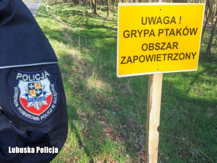 powiat  sulęciński