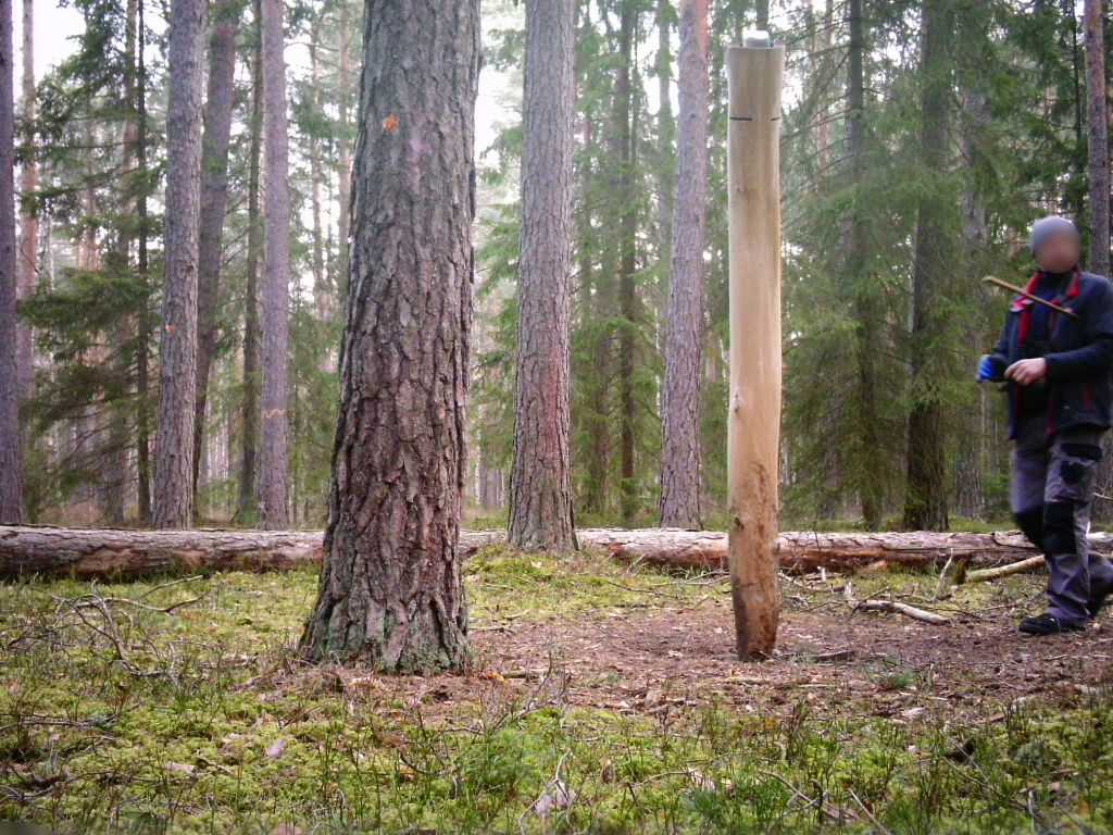 złodziej fotopułapki, KPP Augustów, Mazurki, powat augustowski