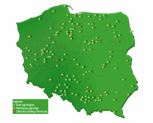 Platforma Sygnalizacji Agrofagów, IOR-PIB, monitoring szkodników i chorób, Marek Mrówczyński, ochrona roślin