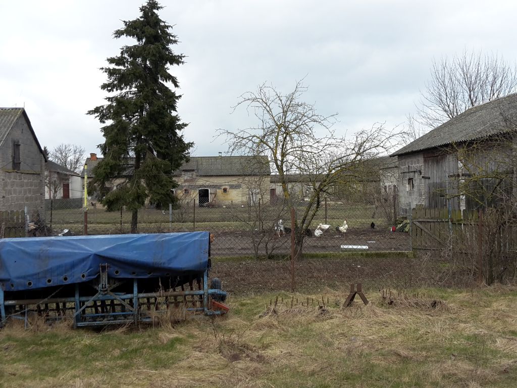 prow 2014-2020, eipidemia koronawirusa, wsparcie dla gospodarstw, kredyty dla rolników